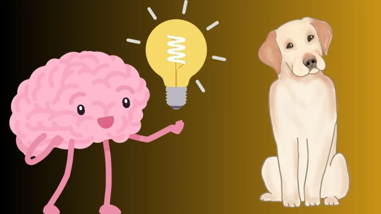 Are Golden Retrievers Smart? Breed Intelligence 5 golden retriever smart bred